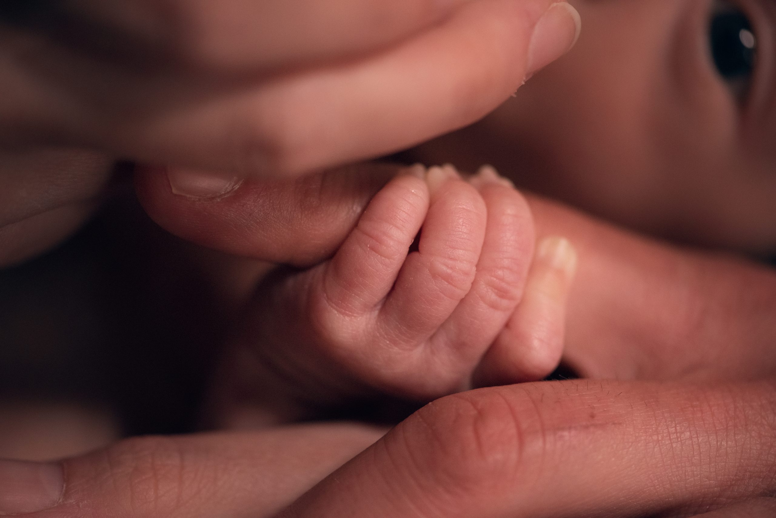 newborn-gallery (1)