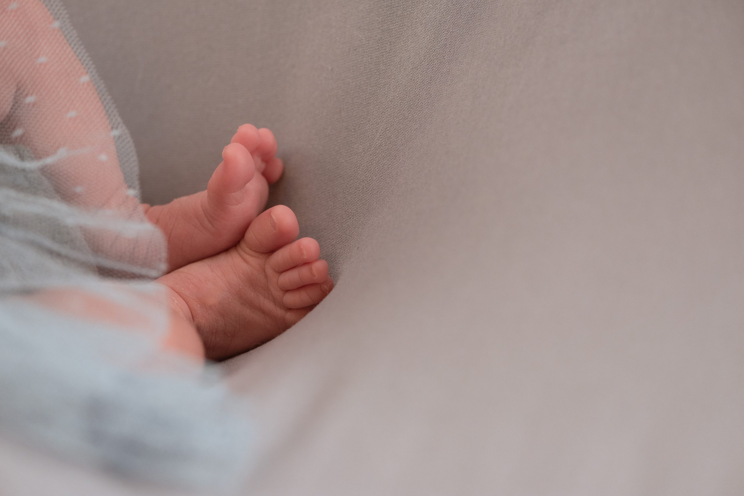 newborn-gallery (2)